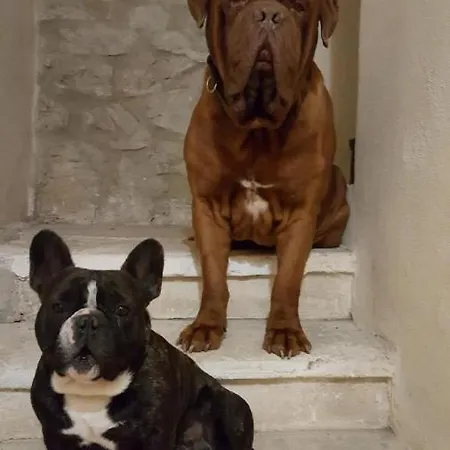 Oda ve Kahvaltı Bastide De La Madeleine